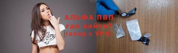 гашик Арсеньев